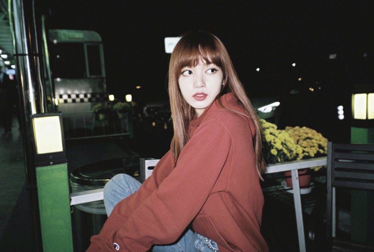 Красивые котики корейские