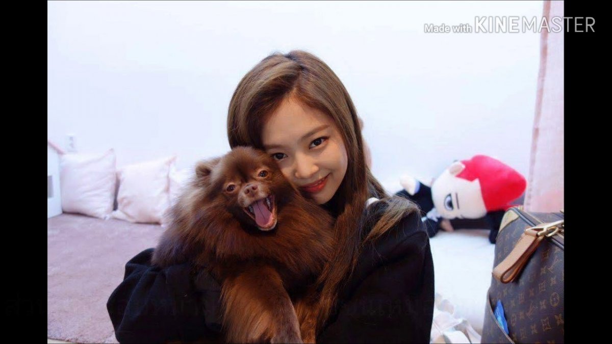 Собаки Дженни кума и Кай