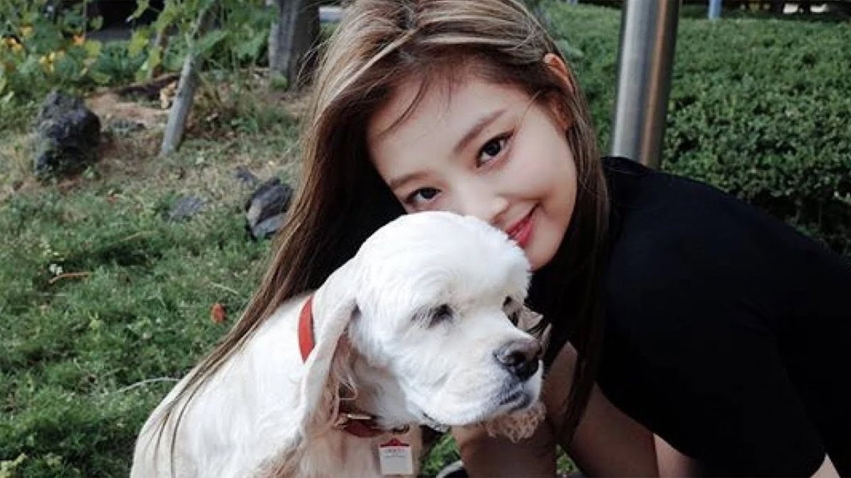 Дальгом и Джису