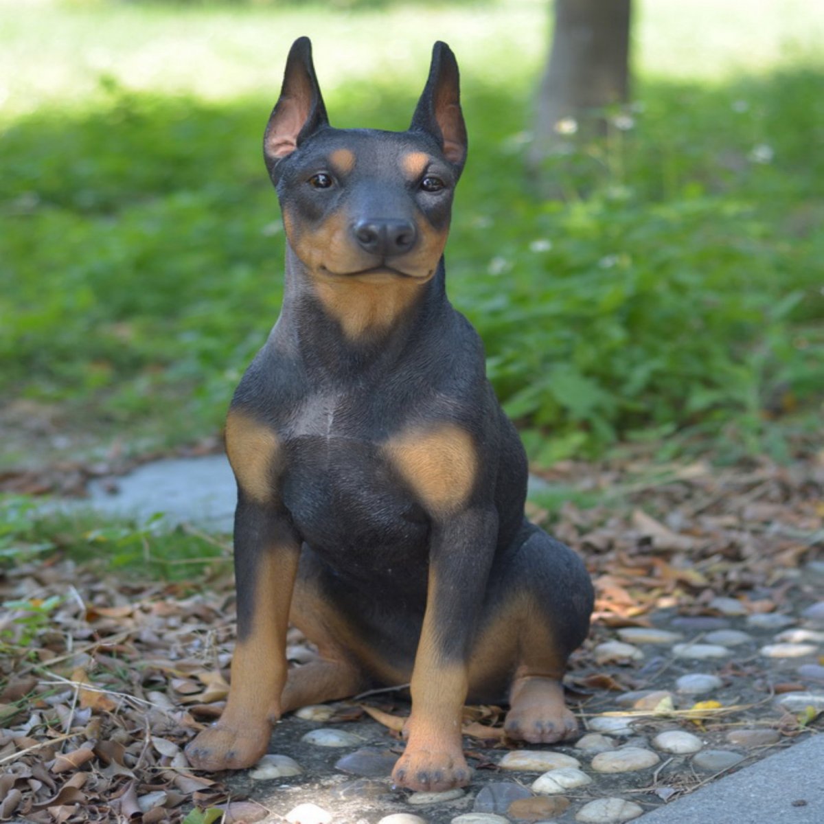 Мини Доберман Цвергпинчер