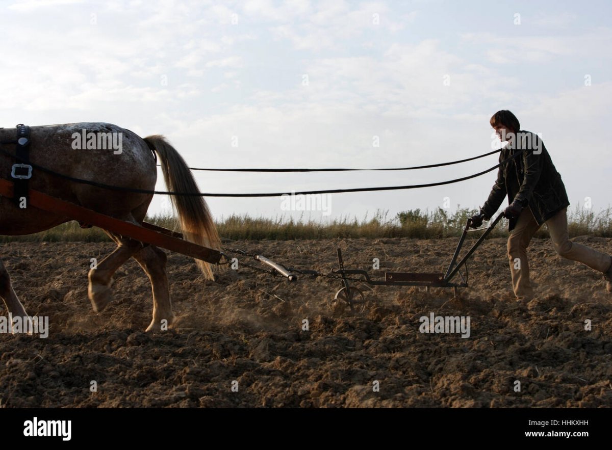 Вспашка конным плугом