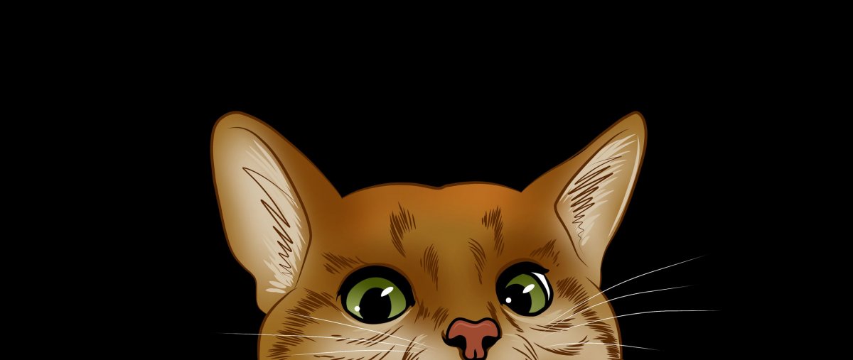 Морда кота арт