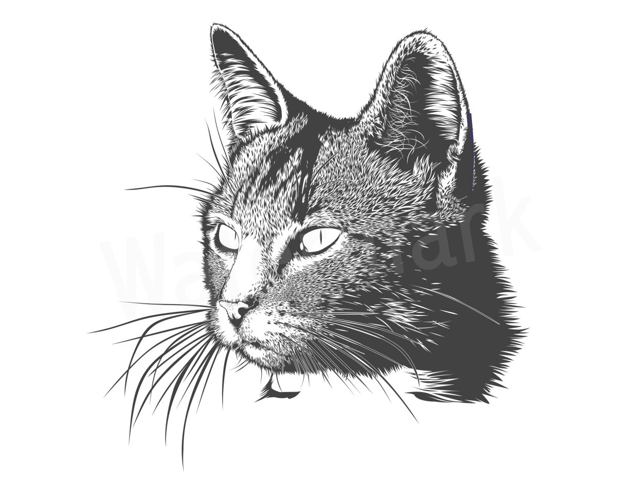 Кошка Графика