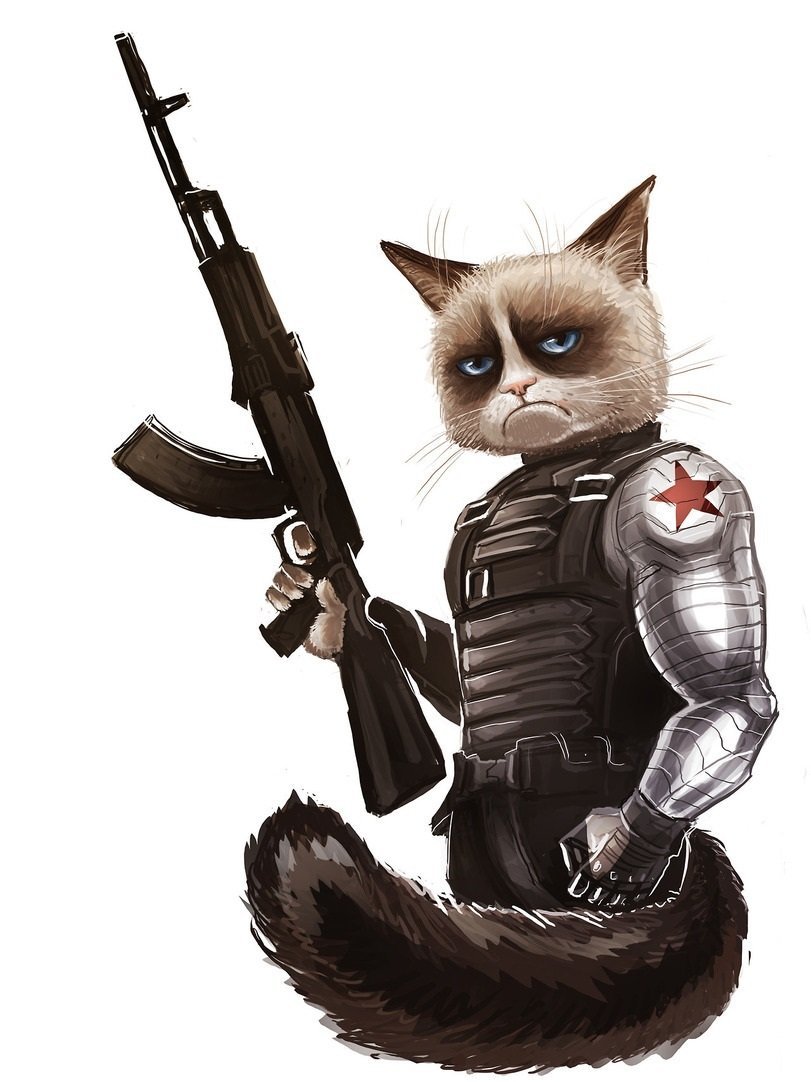 Кот в военной форме
