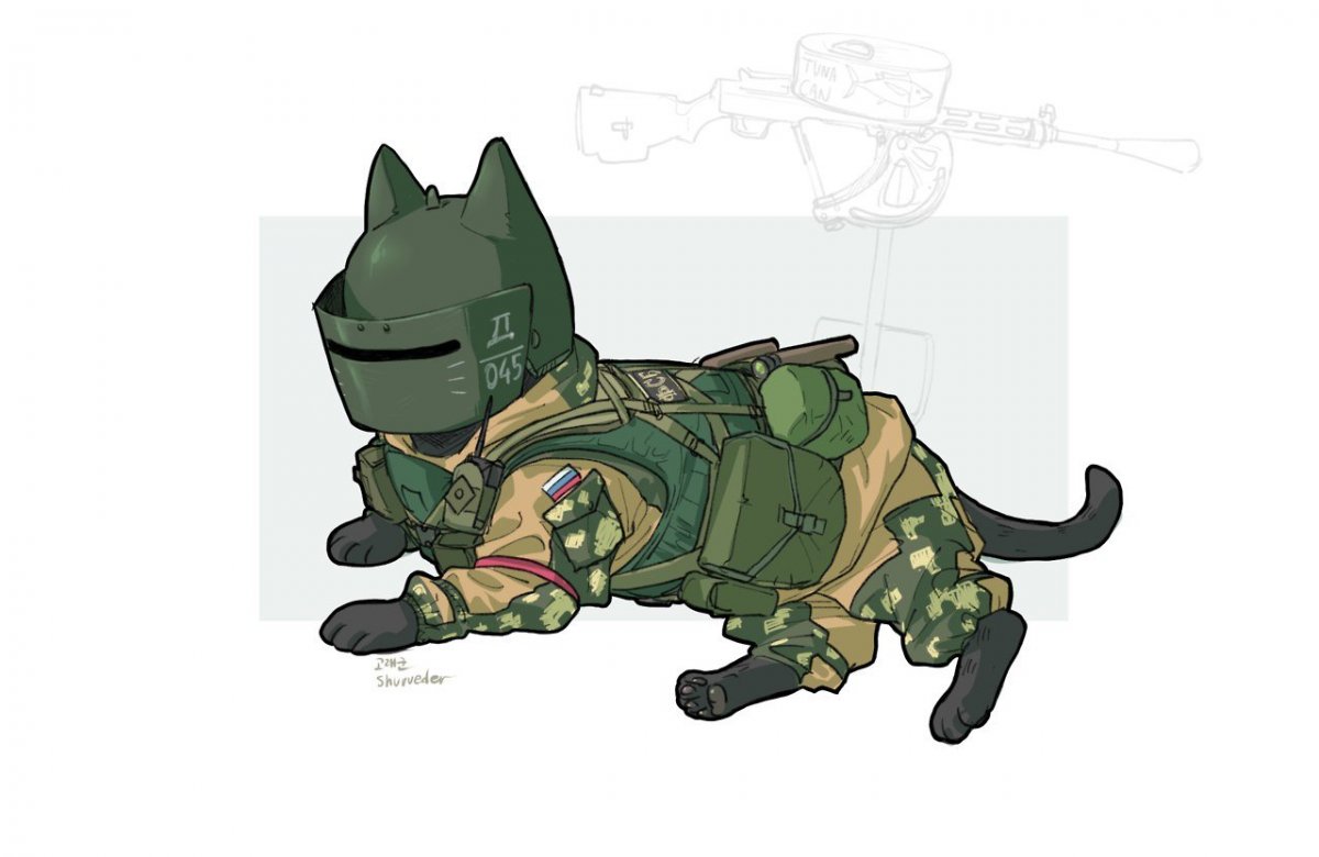 Кот с пистолетом