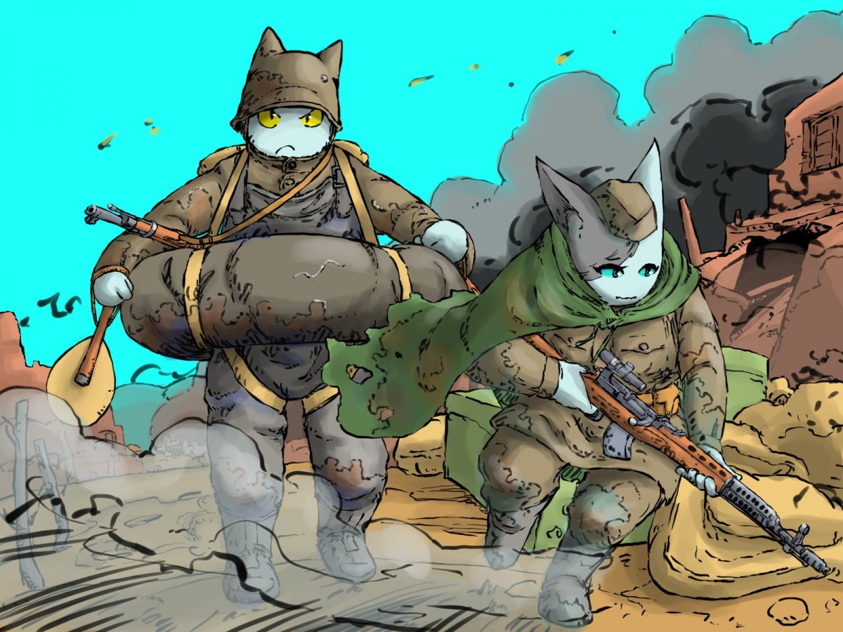 R6 Siege котики