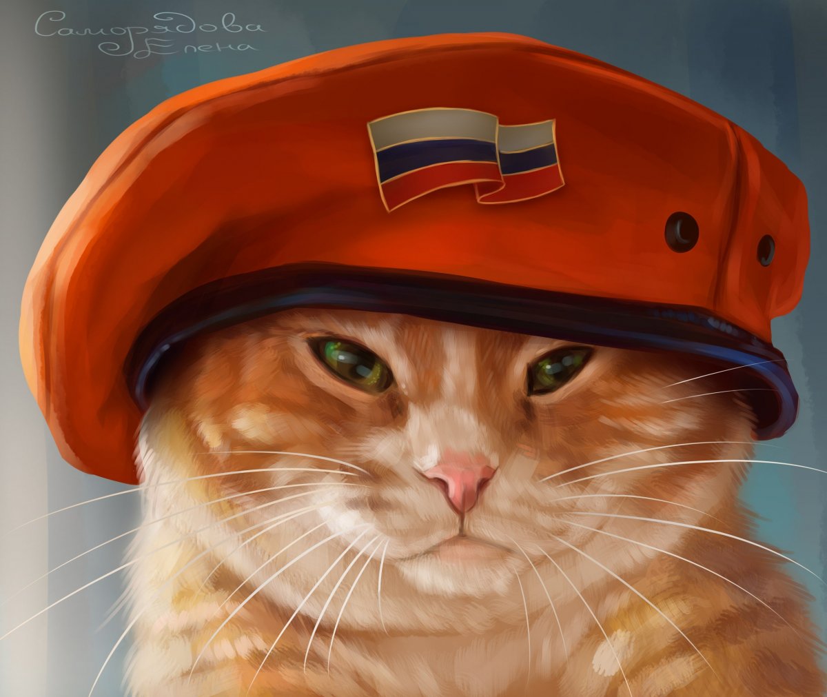 Кот военный