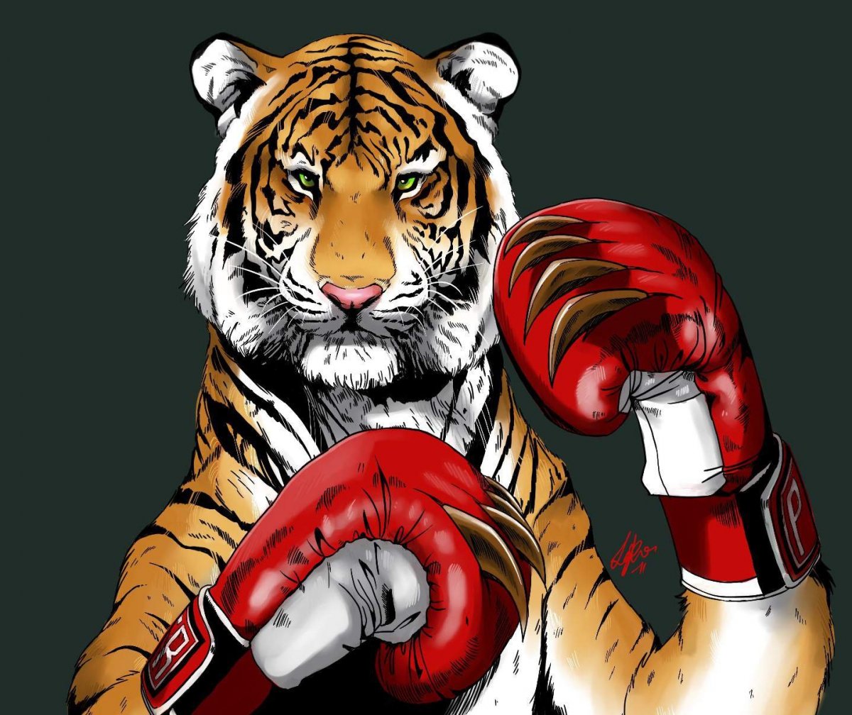 Тигр качок арт