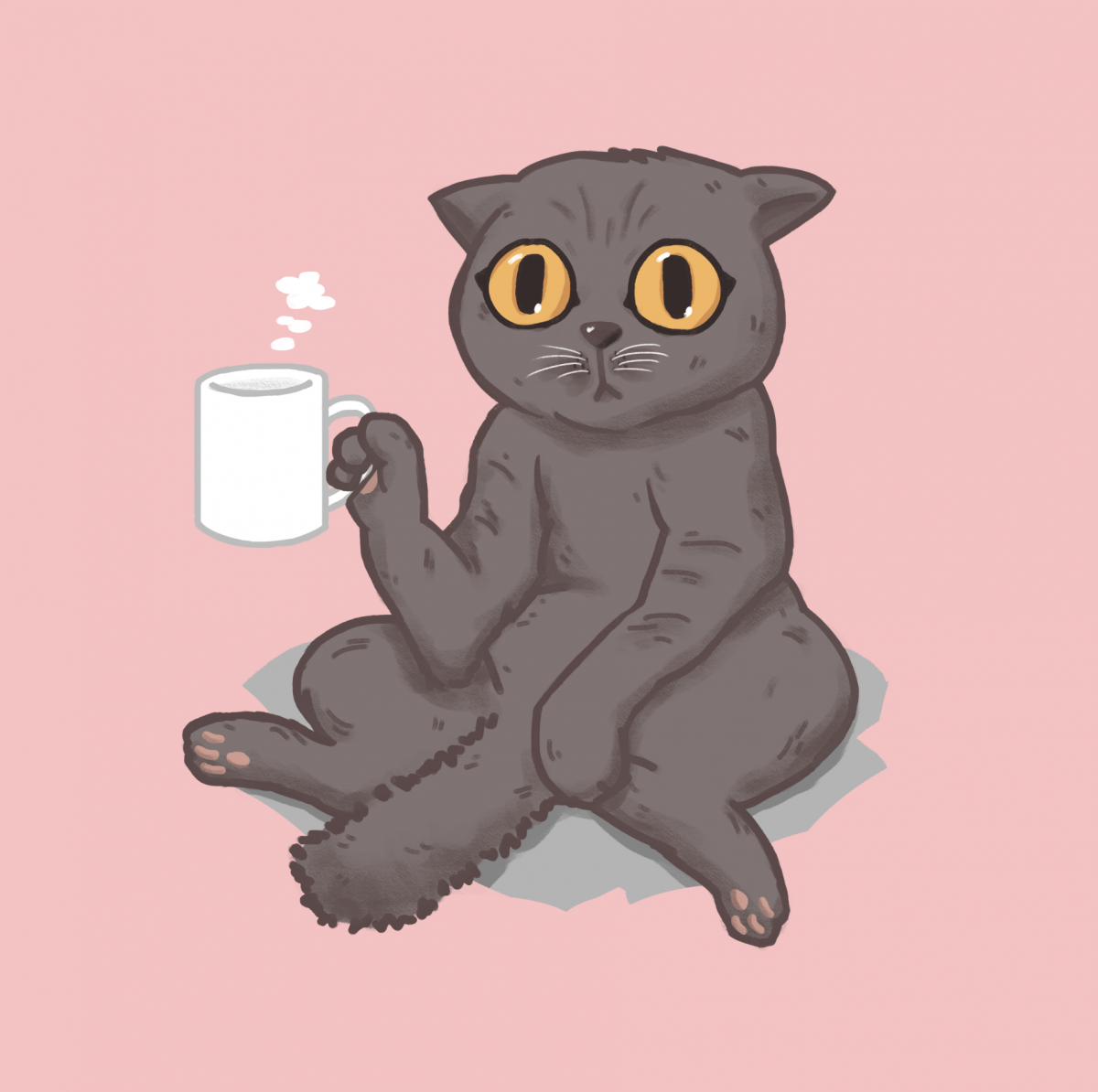 Мужик с котом