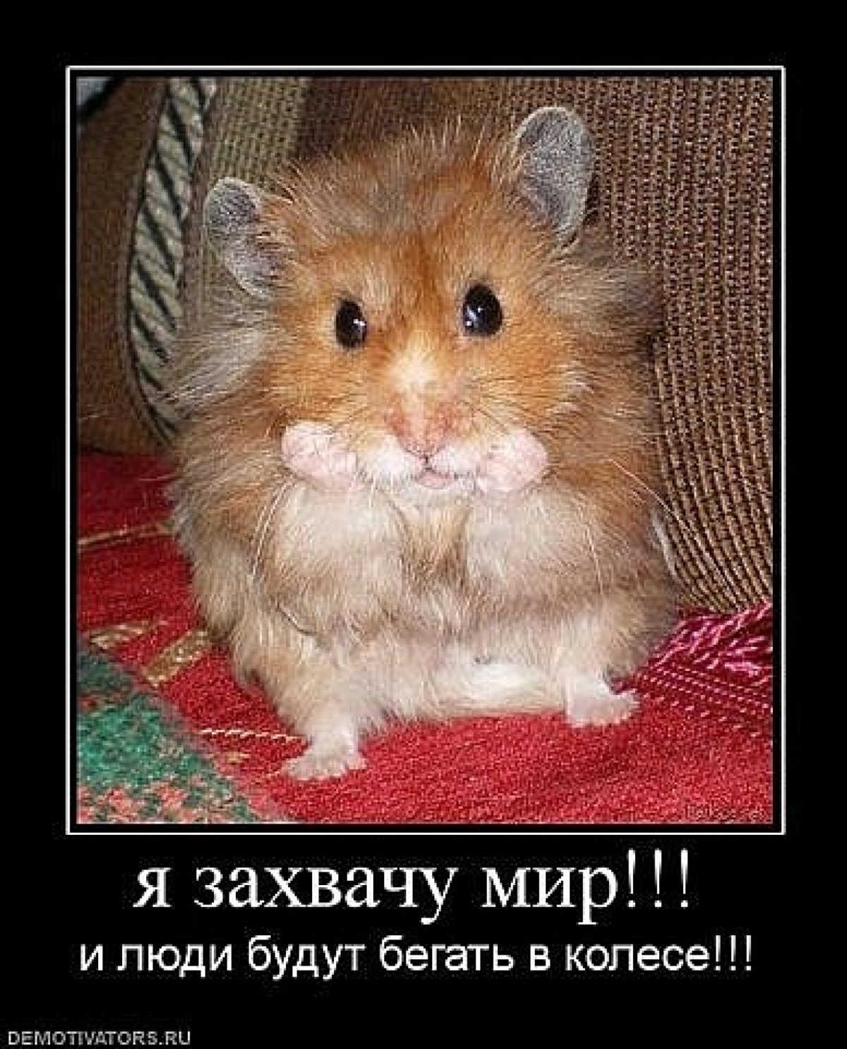 Хомяка обидели