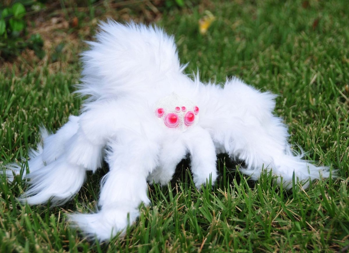 Пушистые пауки милые