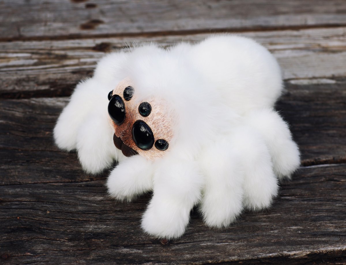 Милый пушистый паучок