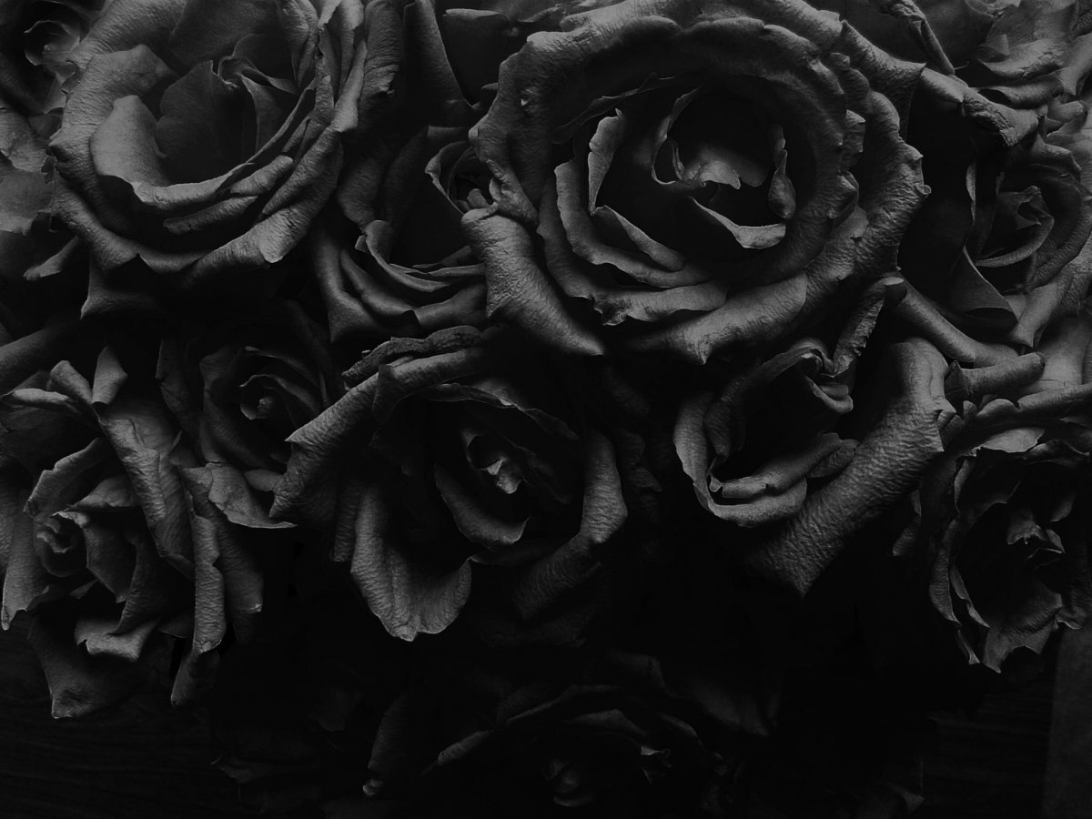 Черная текстура