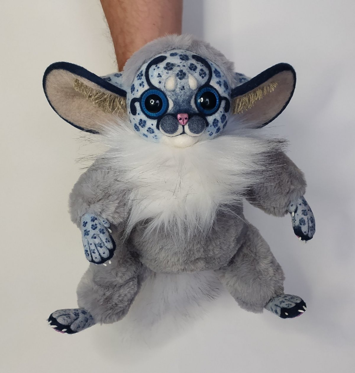 Мадагаскарский глазоух