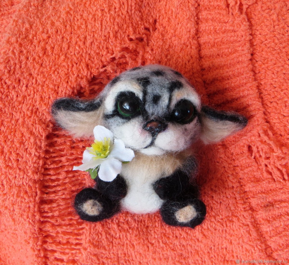 Cute animal big Eyes