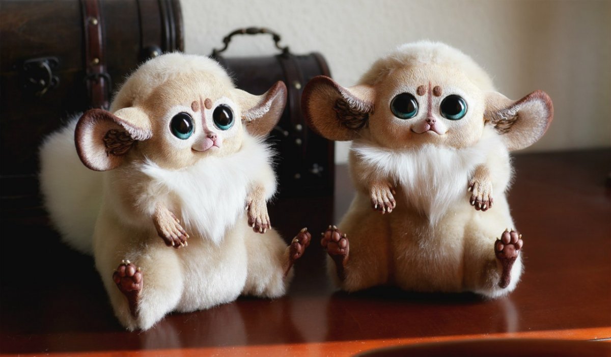 Мексиканский глазоух семейство