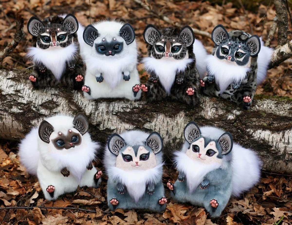 Мексиканский глазоух