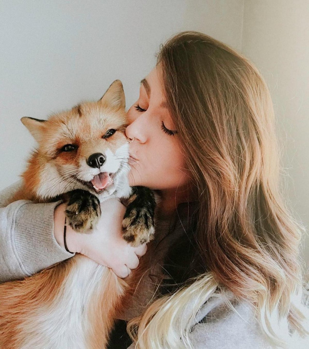 Счастливая лиса Джунипер