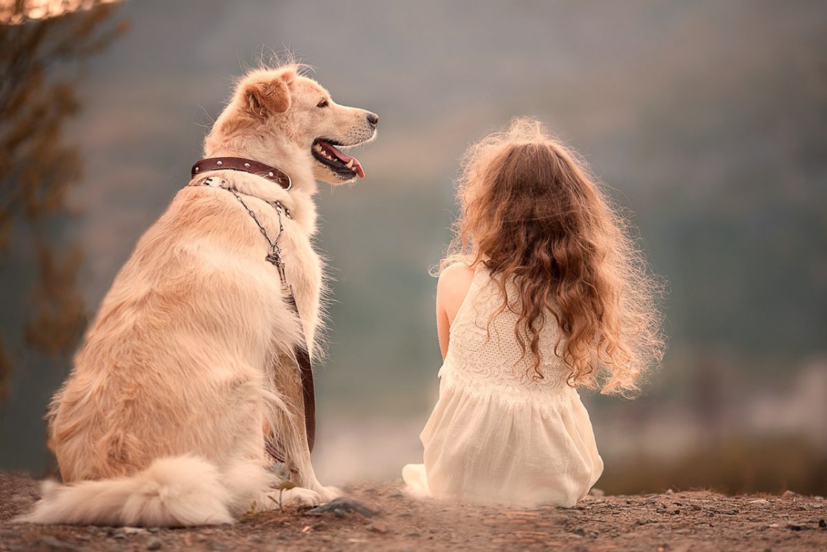 Тайгер порода собак