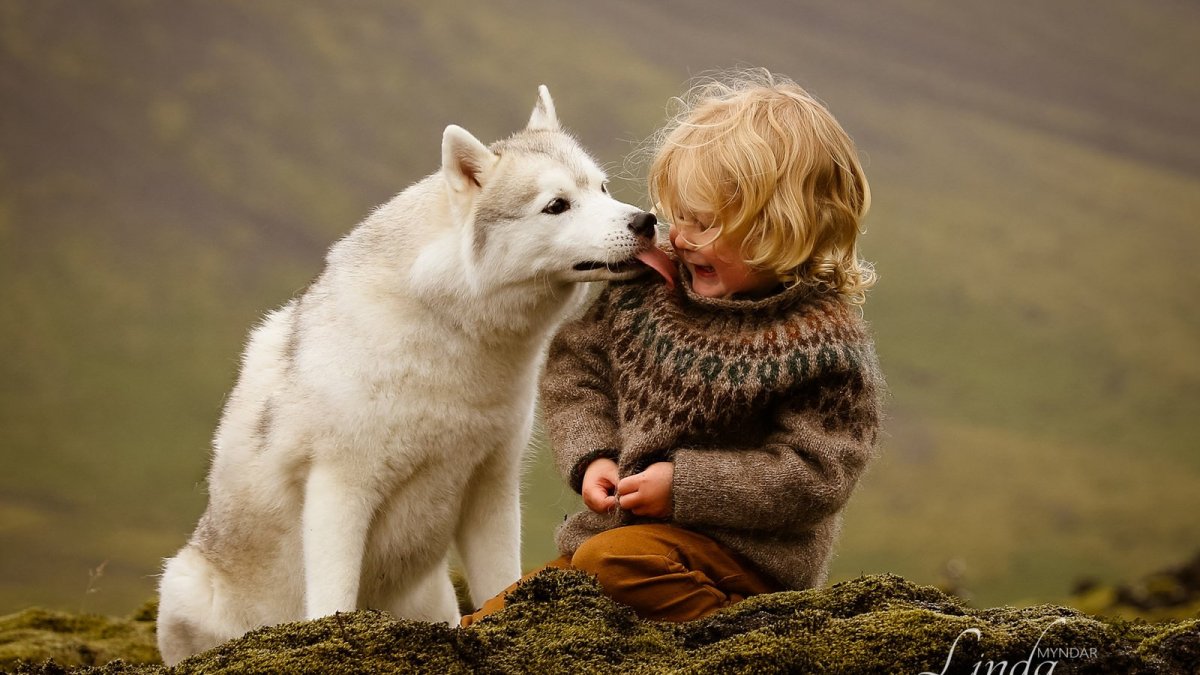 Дружба животных