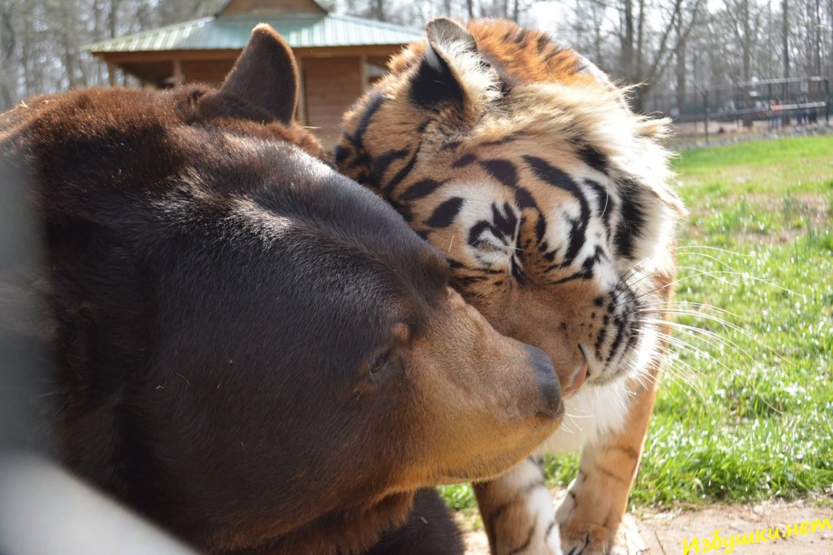 Елена Шумилова фотограф