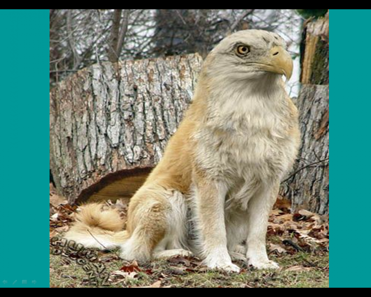 ЗУБР Чернобыль