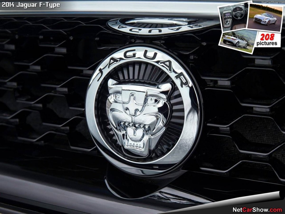 Логотип синий Лев