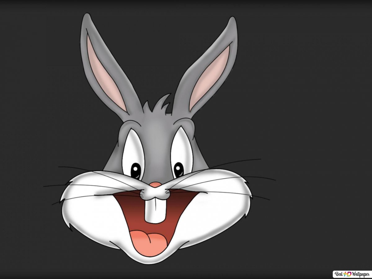 Бакс бани лицо