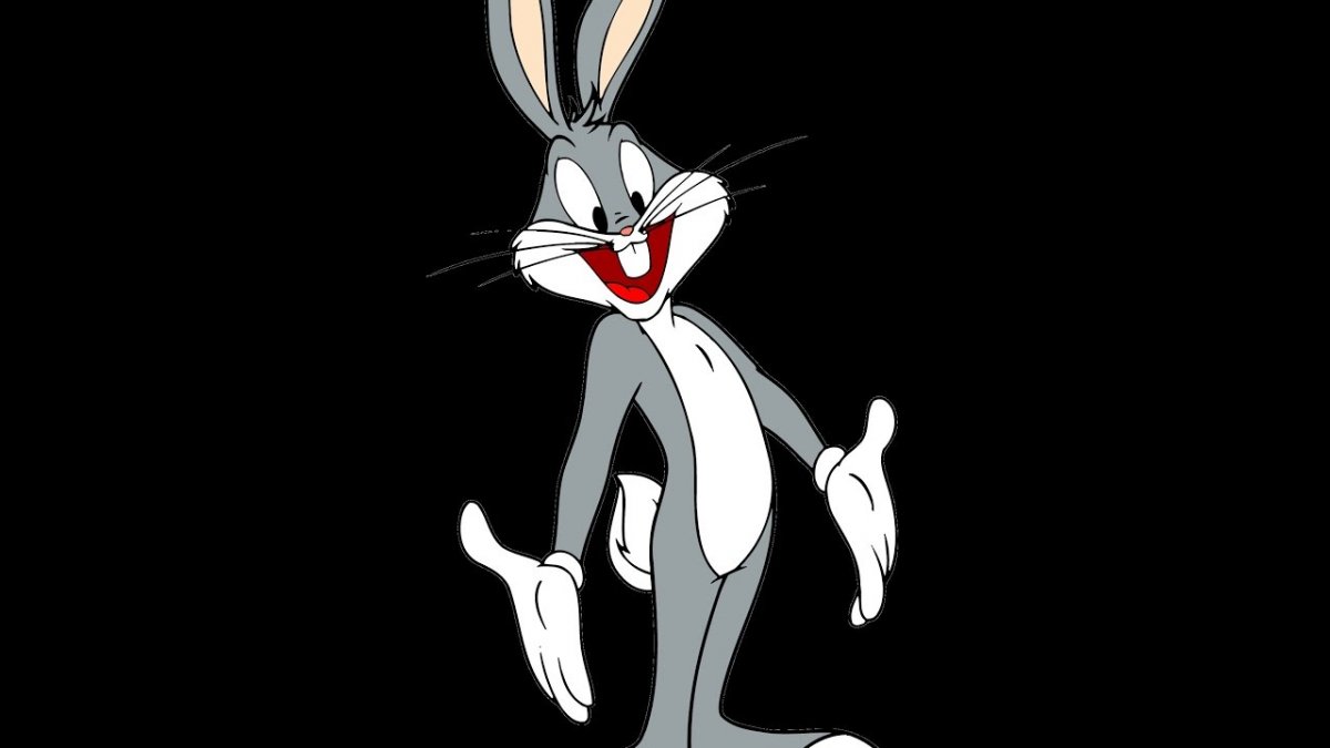 Rabbit character Design