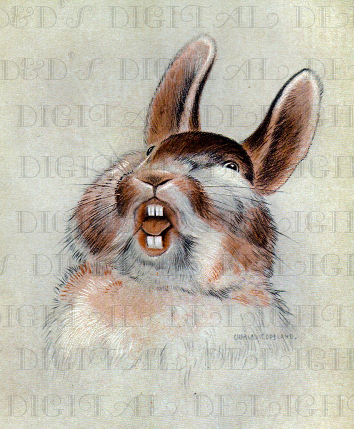 Кричащий кролик