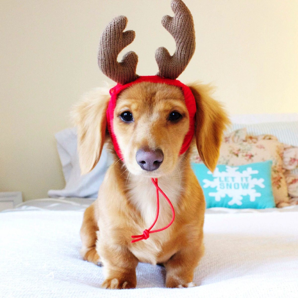 Локи Марвел