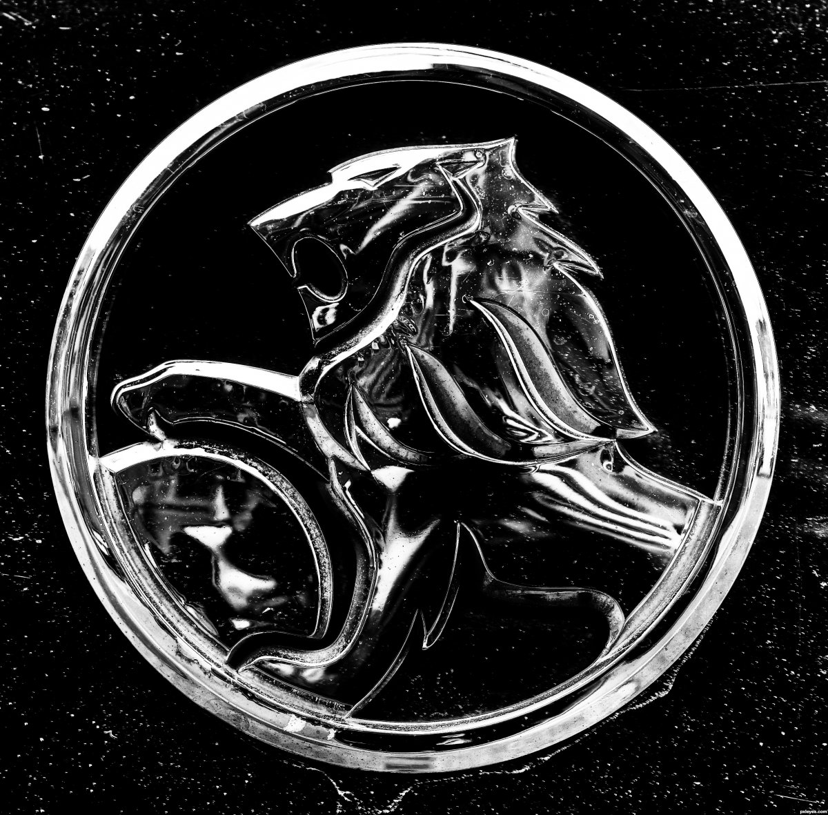 Марка машины Ламборджини