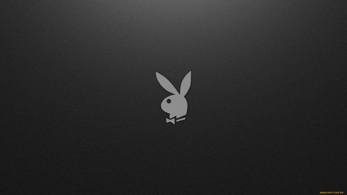 Кролик на черном фоне