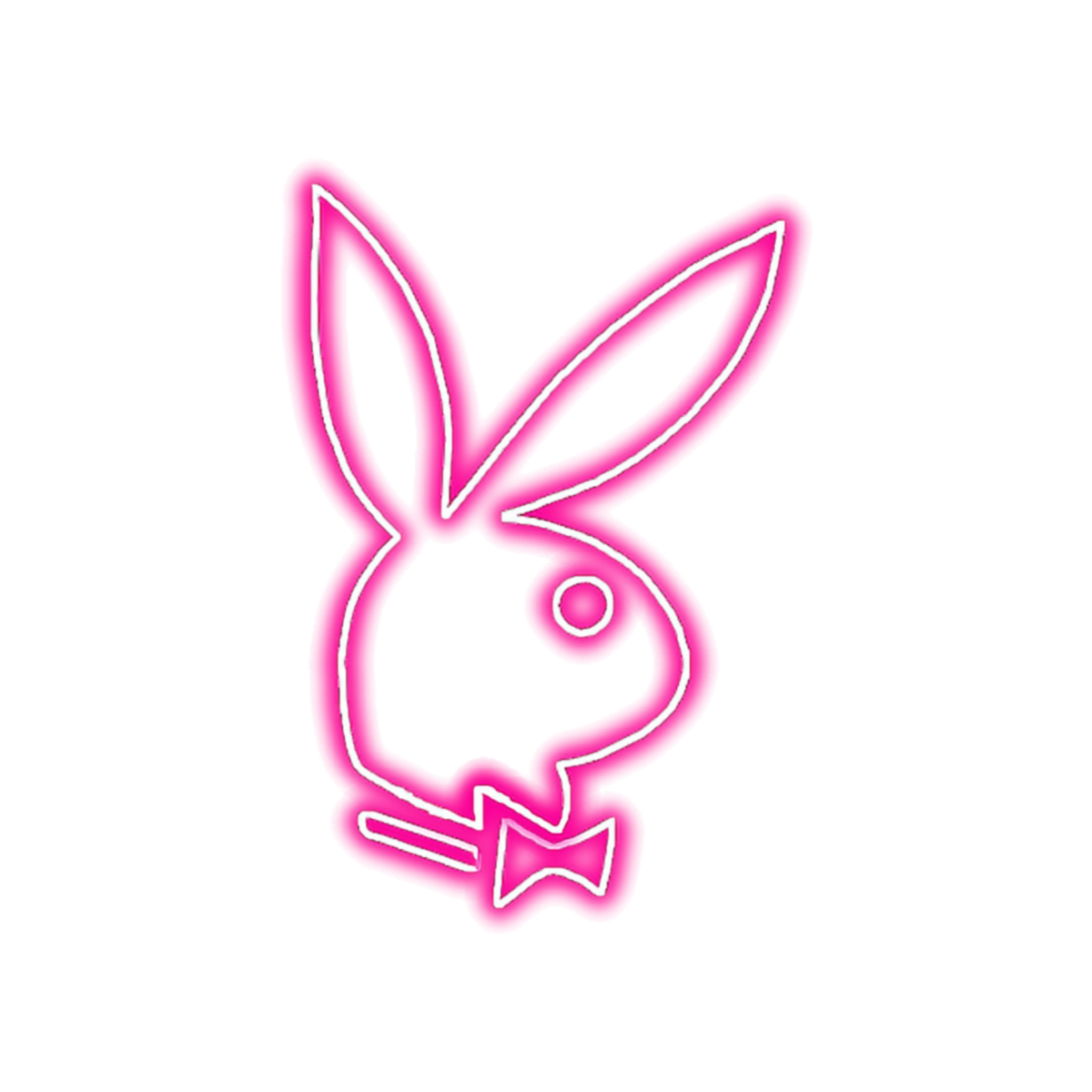 Плейбой заяц