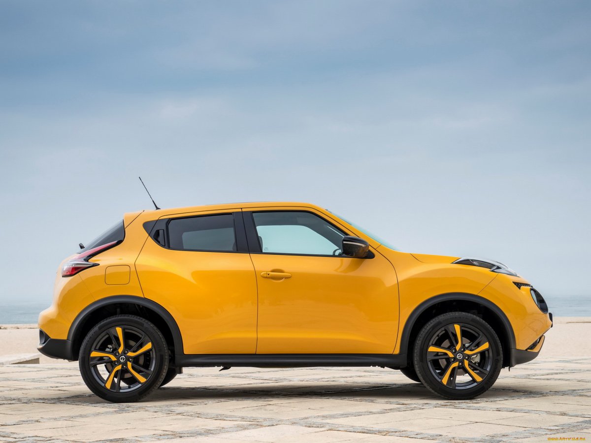 Ниссан Жук 3х дверный