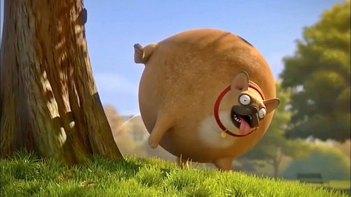 Круглые животные