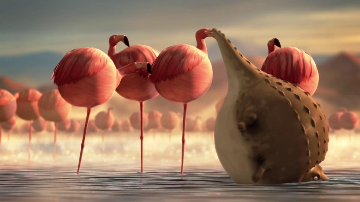 Круглые животные мультик