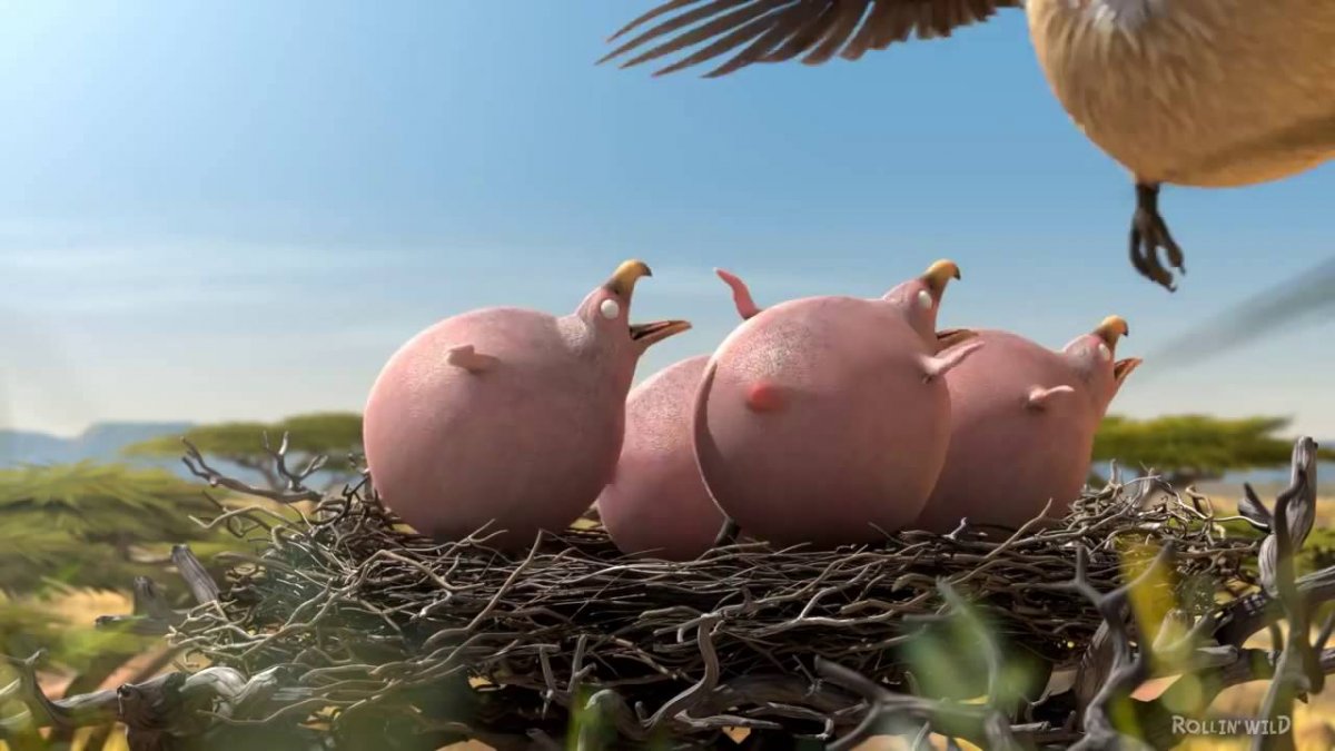 Круглое сафари - Rollin-Safari