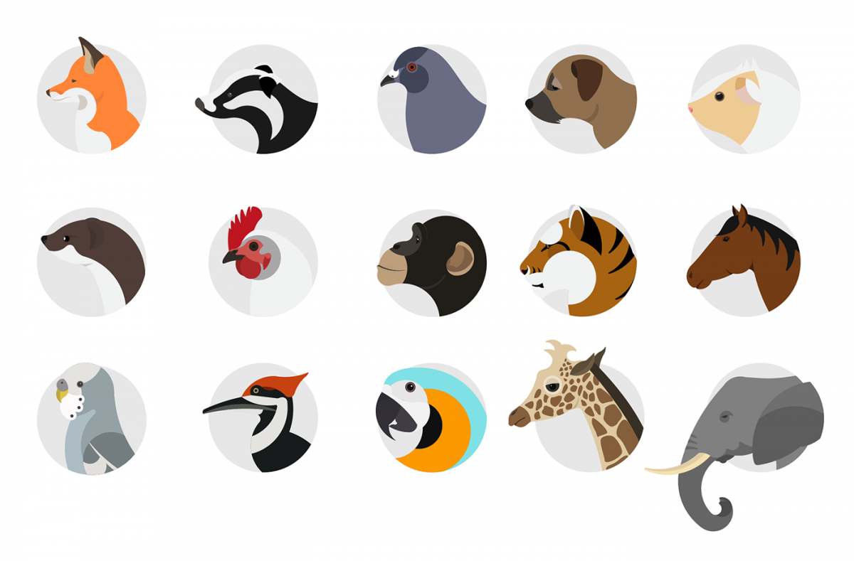 Наклейки для распечатки