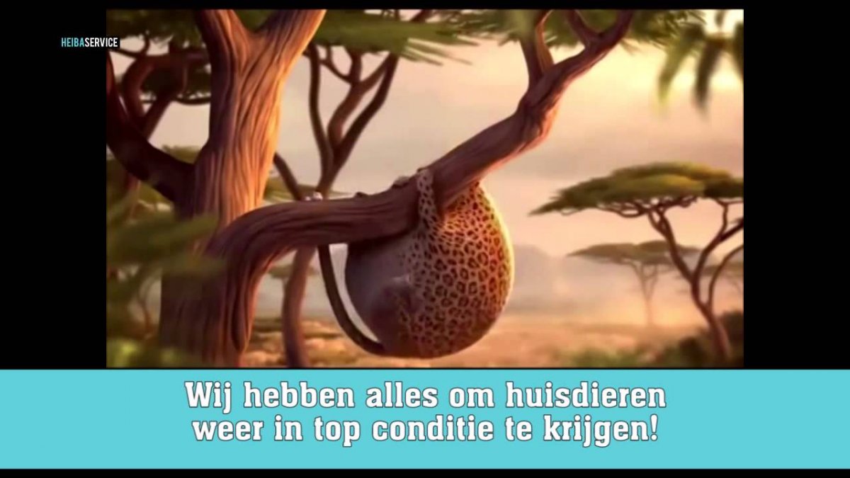 Животные круглые мульт