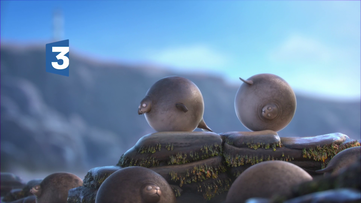 Круглые животные