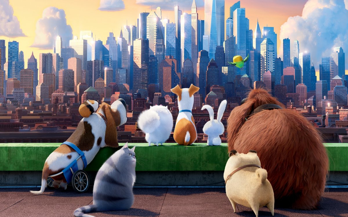 Мордашки животных