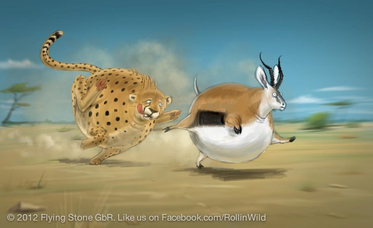 Круглое сафари - Rollin-Safari