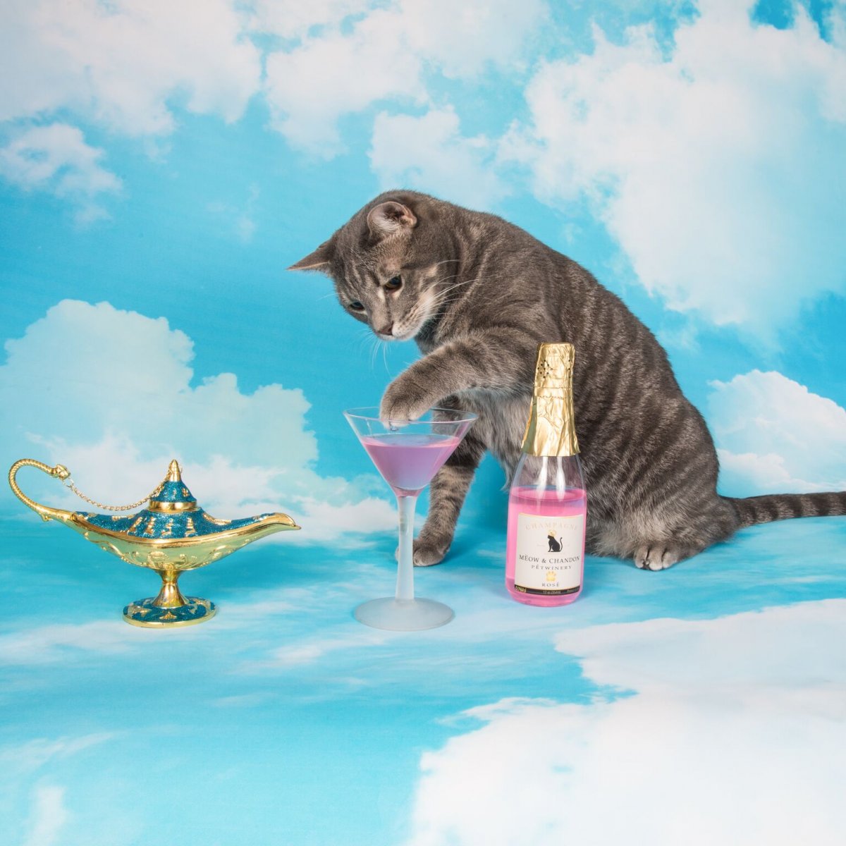 ЕЗВС шампанское для кошек