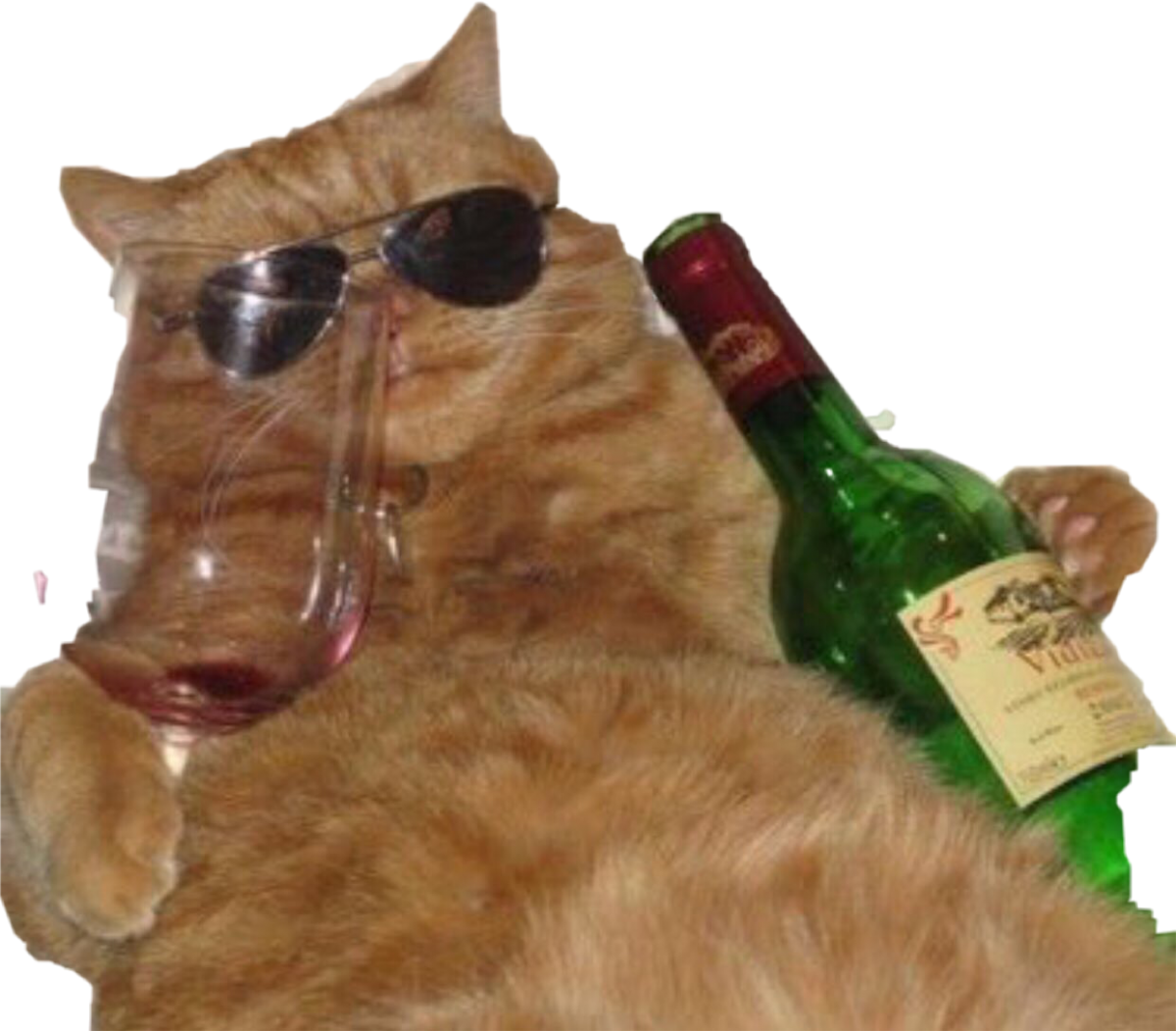 Кот с бутылкой