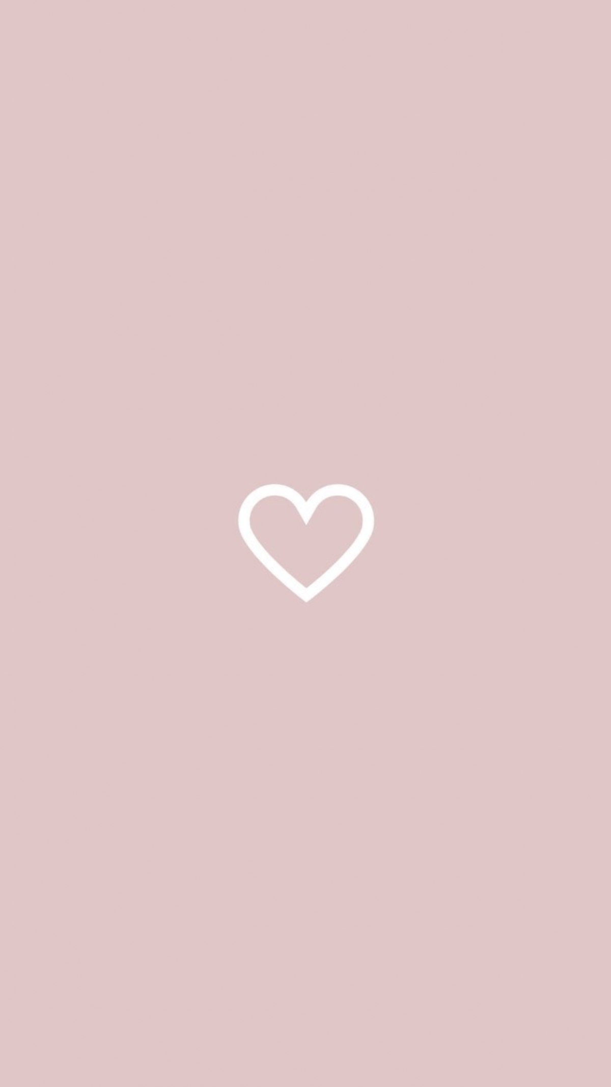 Розовый цвет