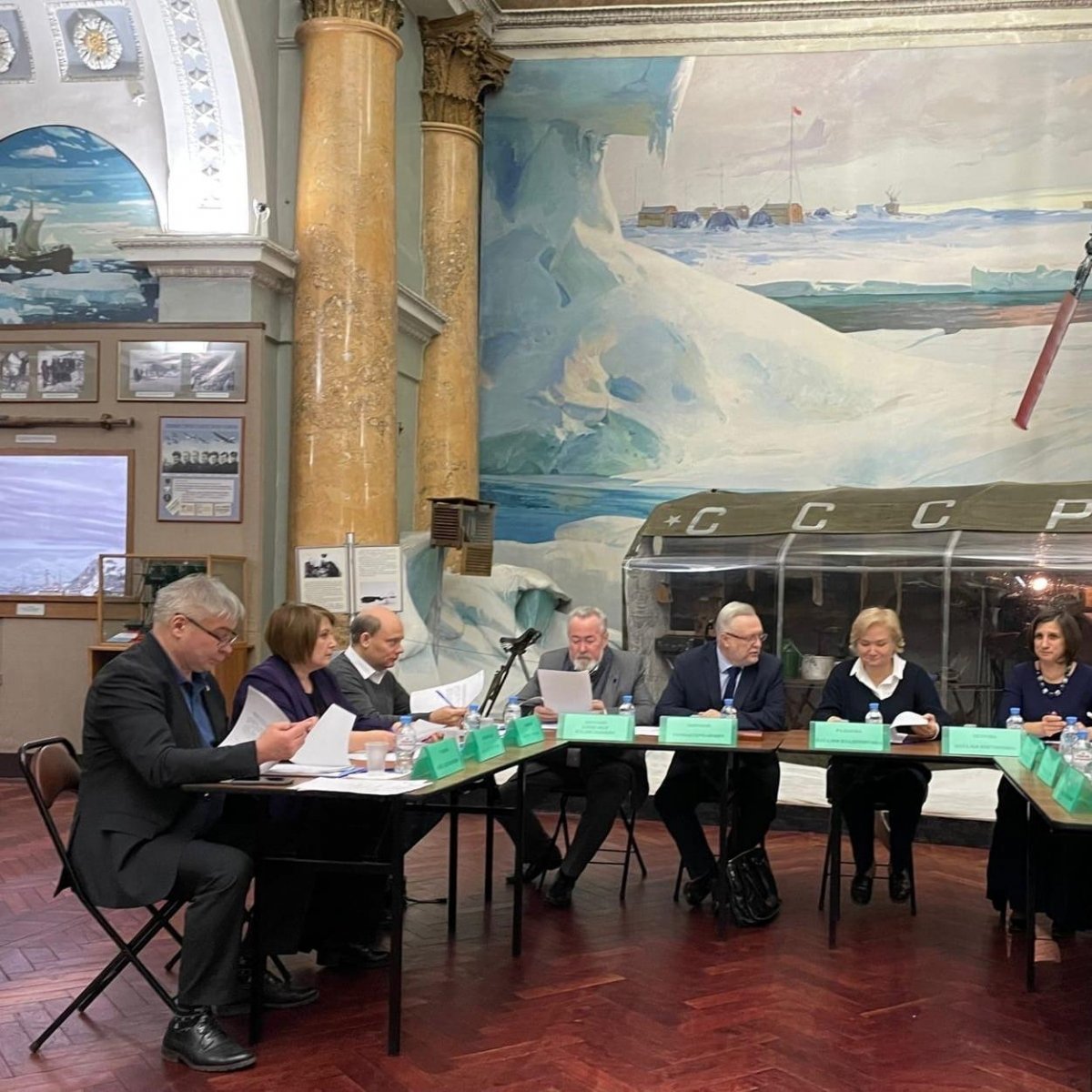 Морские слоны в Антарктиде