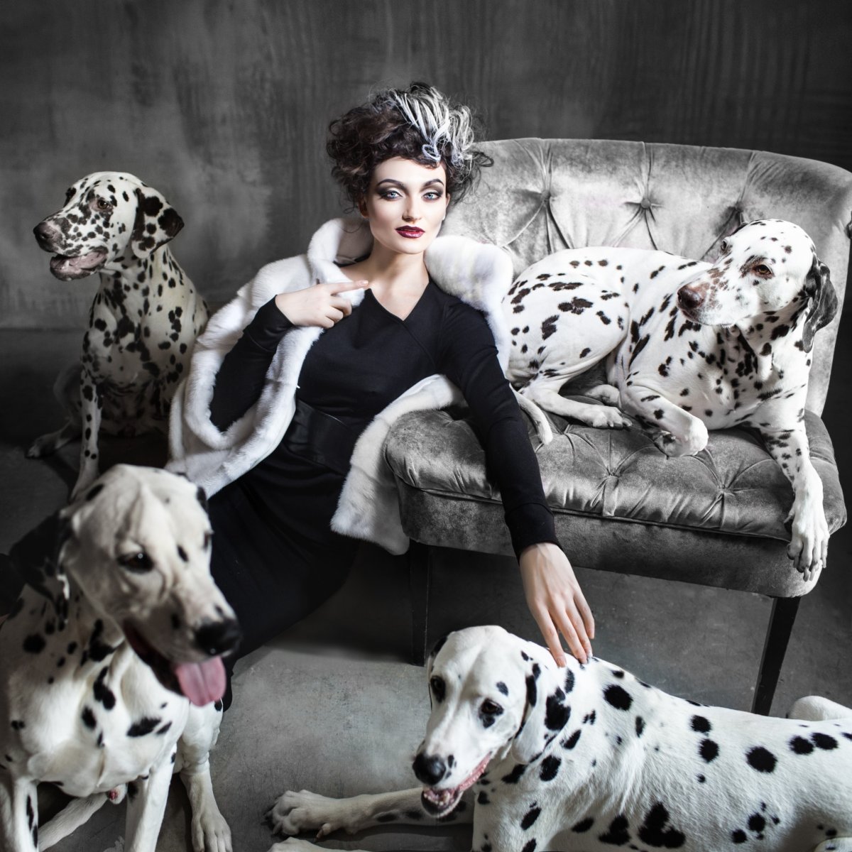 Модные собаки