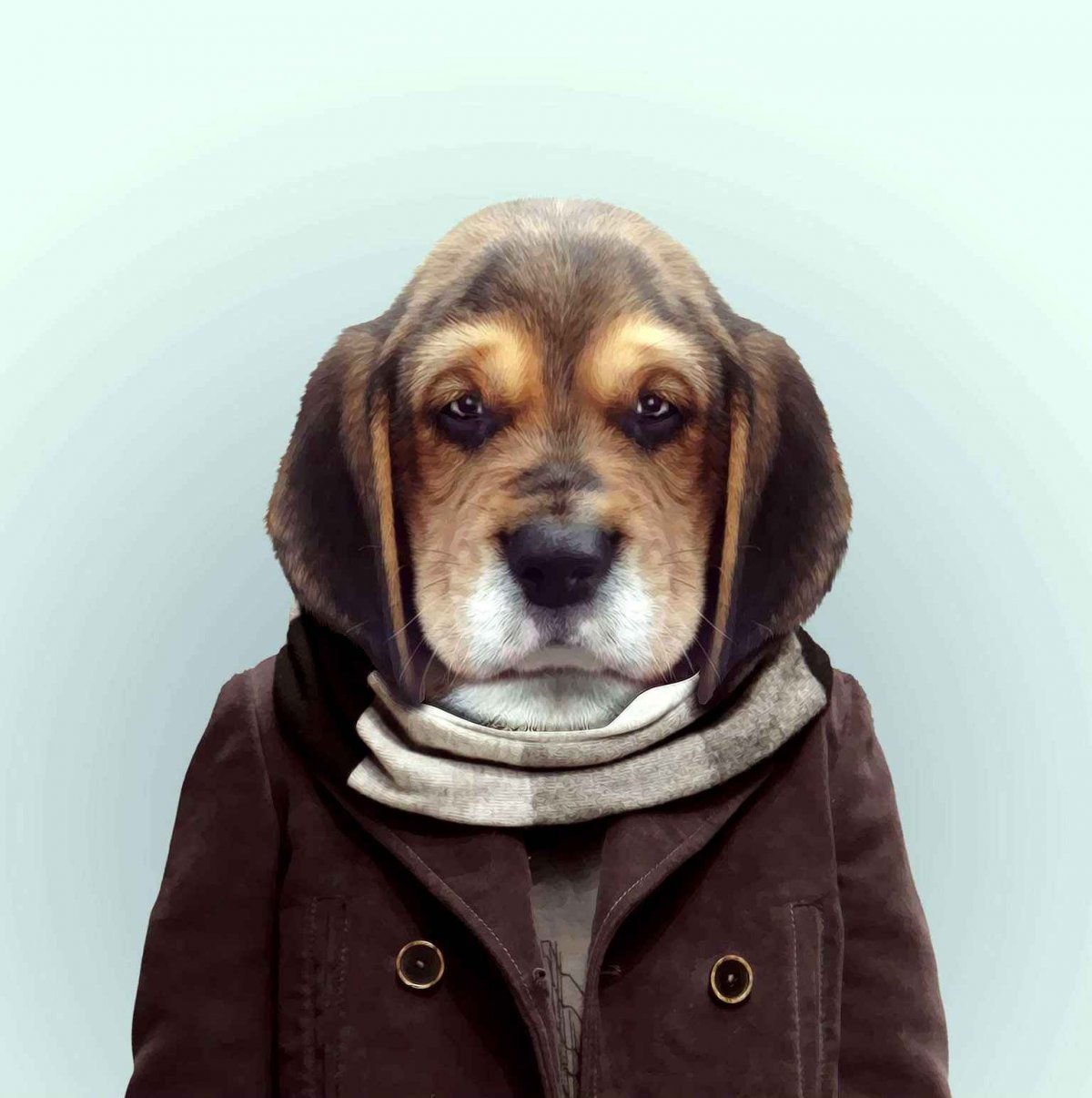 Собака в ногах у девушки