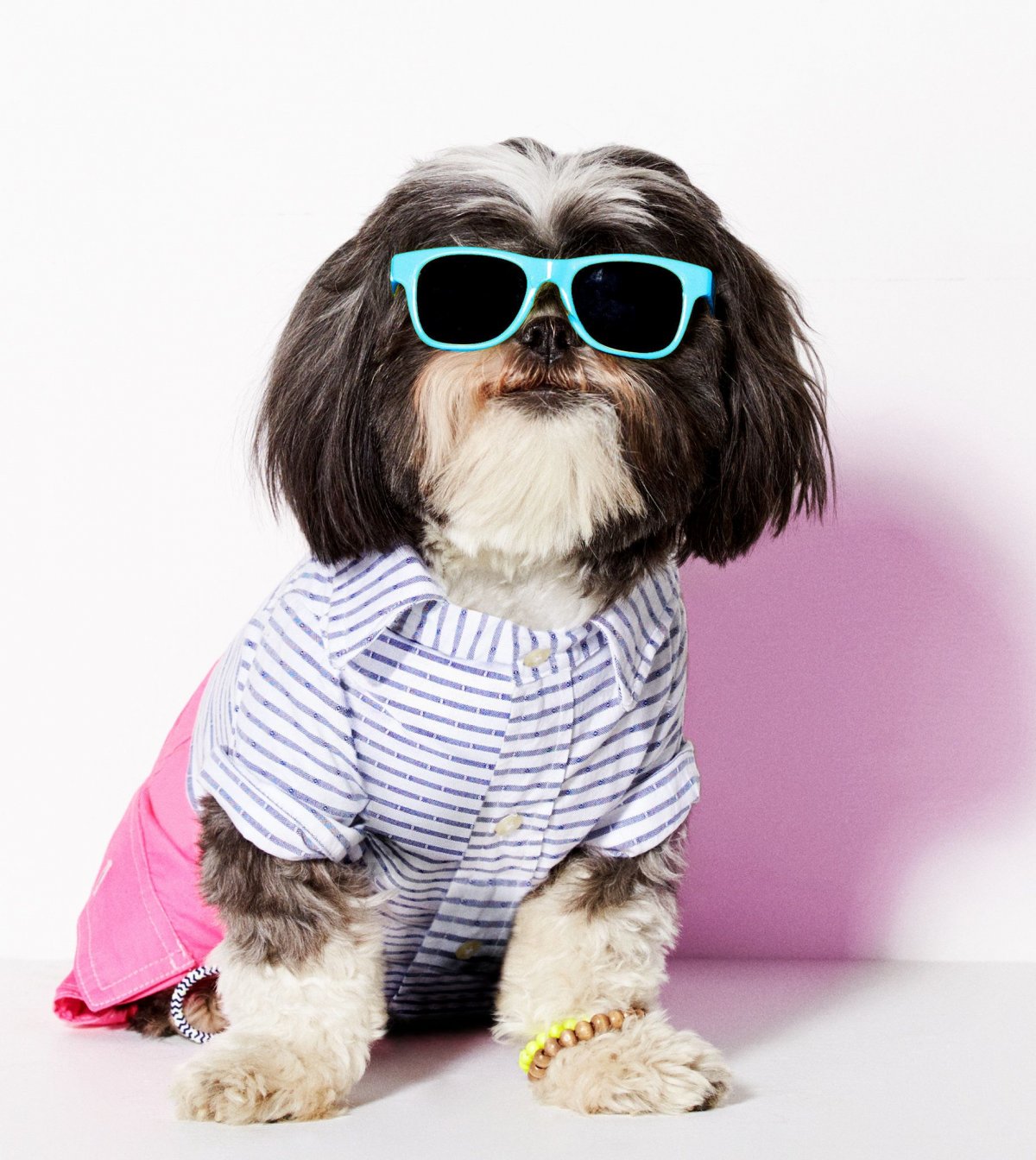 Фотосессия с животными